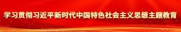 抽日摸舔插入电影学习贯彻习近平新时代中国特色社会主义思想主题教育